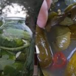 Kaj dati v kisle kumare: recept za kumare iz babičine