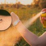 Komarji se ne približajo niti na meter: kako zaščititi svoj