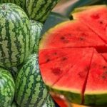 Lahko jo jeste vso zimo: kako zamrzniti lubenico, da ohranite